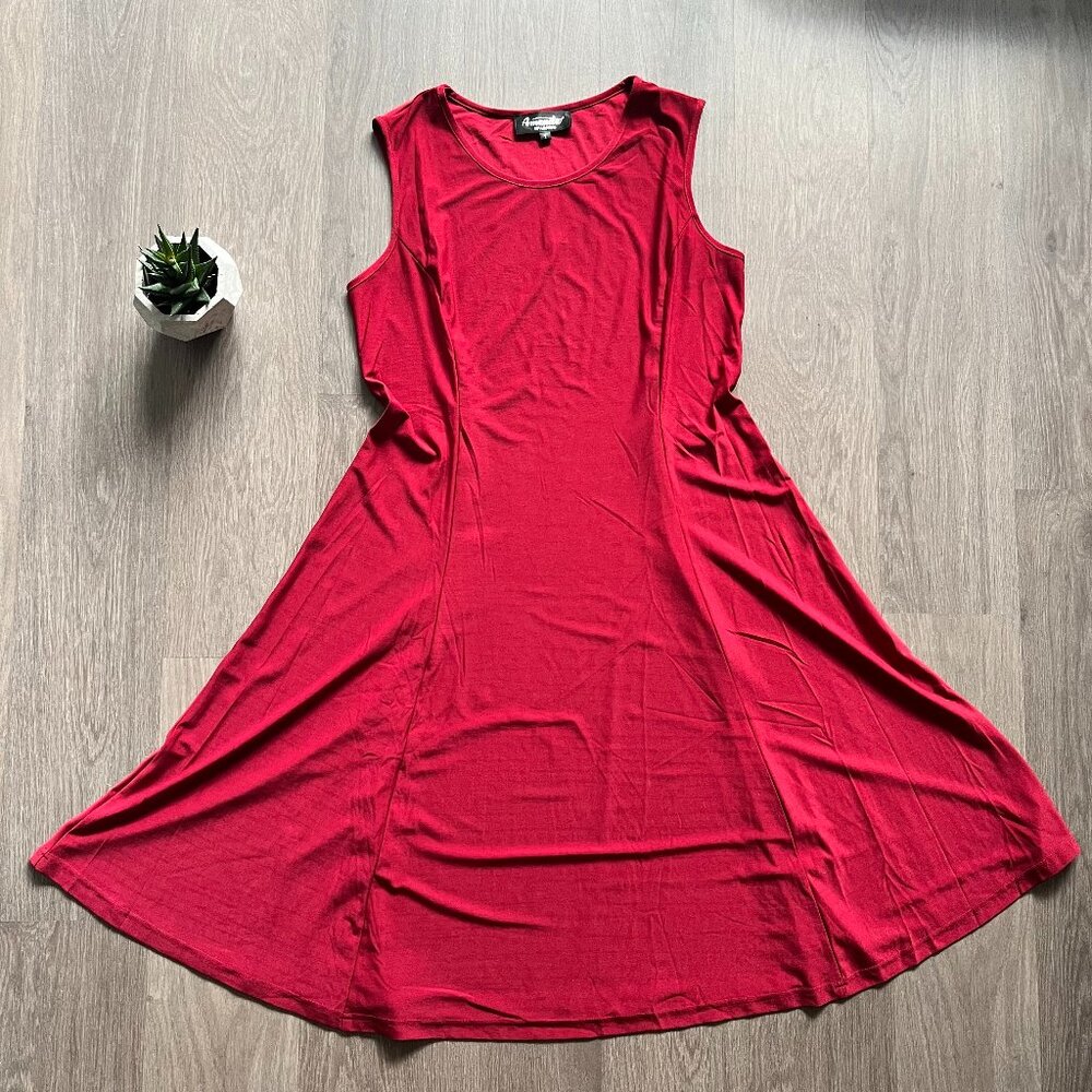 Amanda Collection Red Sleeveless A-Line Mini Dress